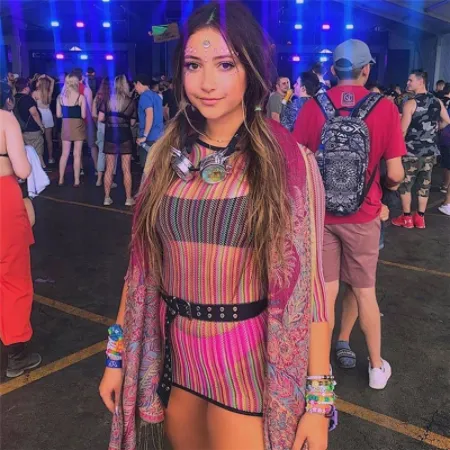 Plur Vibe Sheer Mesh Dress